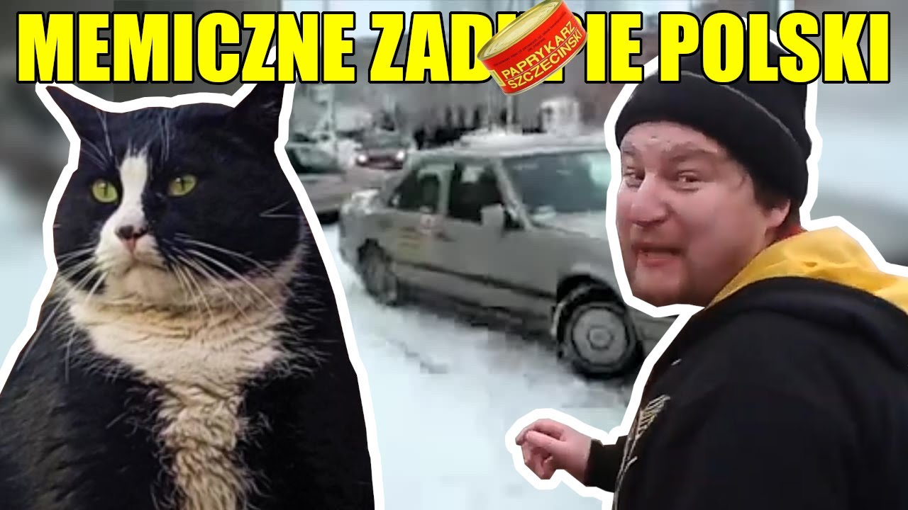 Historia Memów - SZCZECIN