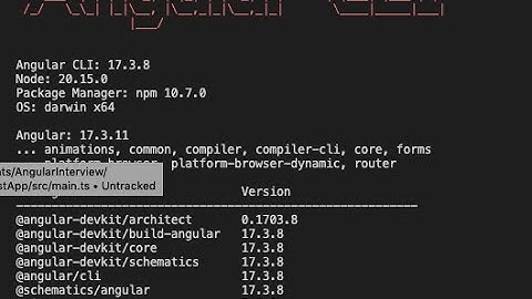 How to check the version of Angular in Visual Studio or terminal