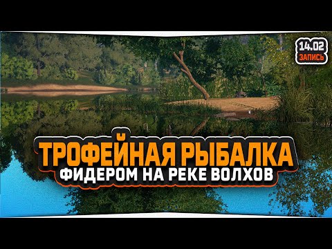 Видео: Трофейная рыбалка фидером на реке Волхов. Ловля Подуста и Рыбца.