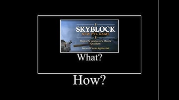 Hypixel Skyblock makes sense