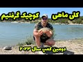 در دومین کمپ کپور گیری سال 2023 کلی ماهی کوچیک گرفتیم