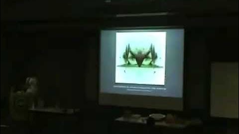 Nathan Selikoff - Aesthetic explorations of algorithmic space