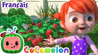 Les esquimaux arc-en-ciel | CoComelon en Français | Chansons pour bébés