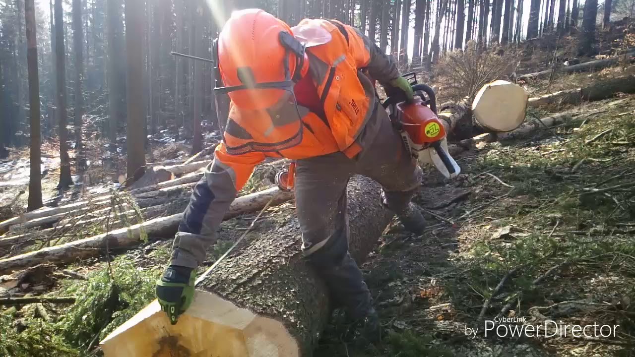 Working in forest, 84-2019, Im wald arbeiten, Práce v lese 🇨🇿 - YouTube