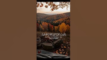 #قرآن #قران_كريم #قرآن #القرآن_الكريم #آيات #سورة #سورة_الملك#راحة_نفسية #عبدالله_شعبان