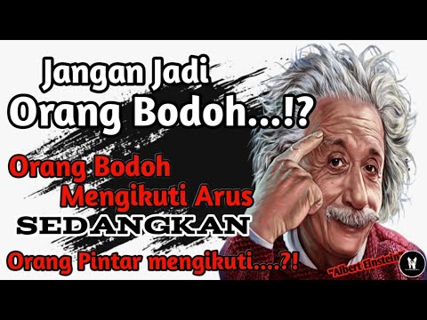 Video: Bodoh - apa itu? Arti dan jenis kebodohan