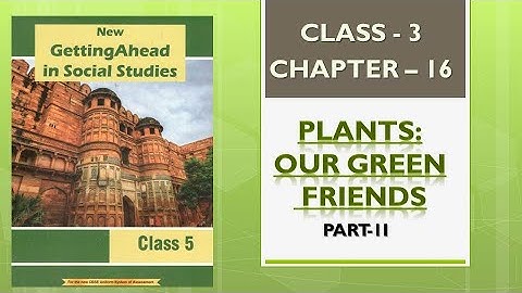 Plants:Our Green Friends || Social Science || Class-3 || Chapter-16 || Part-2