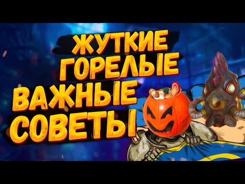 ✅ Fallout 76 [Советы] Как не стать петухом и собрать все схемы