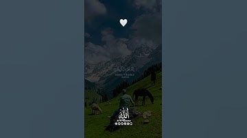 ﴿ ۞ فَلَا أُقْسِمُ بِمَوَاقِعِ النُّجُومِ﴾[ سورة الواقعة: 75]#سورةالواقعة #بلال_الدربالي
