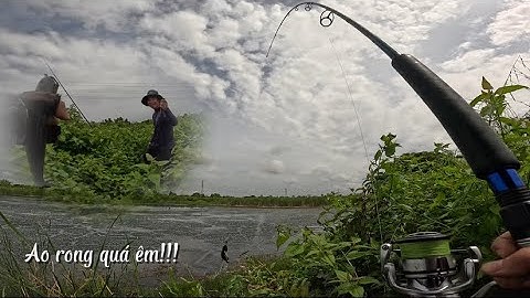 Trở lại bãi cũ còn nhiều ẩn số l Câu rê cá lóc đồng bằng nhái thật