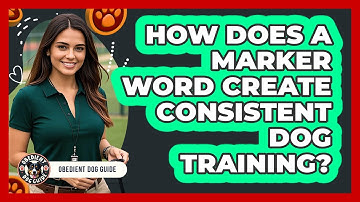 How Does A Marker Word Create Consistent Dog Training? - Obedient Dog Guide