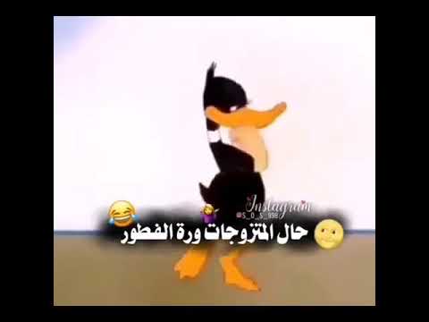 ٠٠حال المزوجات وره الفطور ولتكولولي لا المصمم الفديو مطلوب حين او ميتن