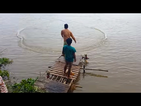 Net Fishing At