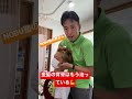京都のポキポキさん)NOBU塾の弟(金髪)へボキボキ❗️❗️頸椎7番アジャストメント👍