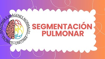 SEGMENTACIÓN PULMONAR