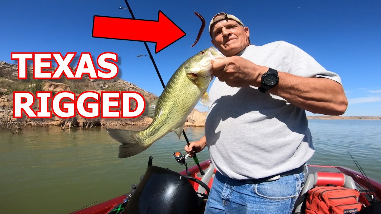 Teaching Him How To Fish A Texas Rigged Worm YouTube
