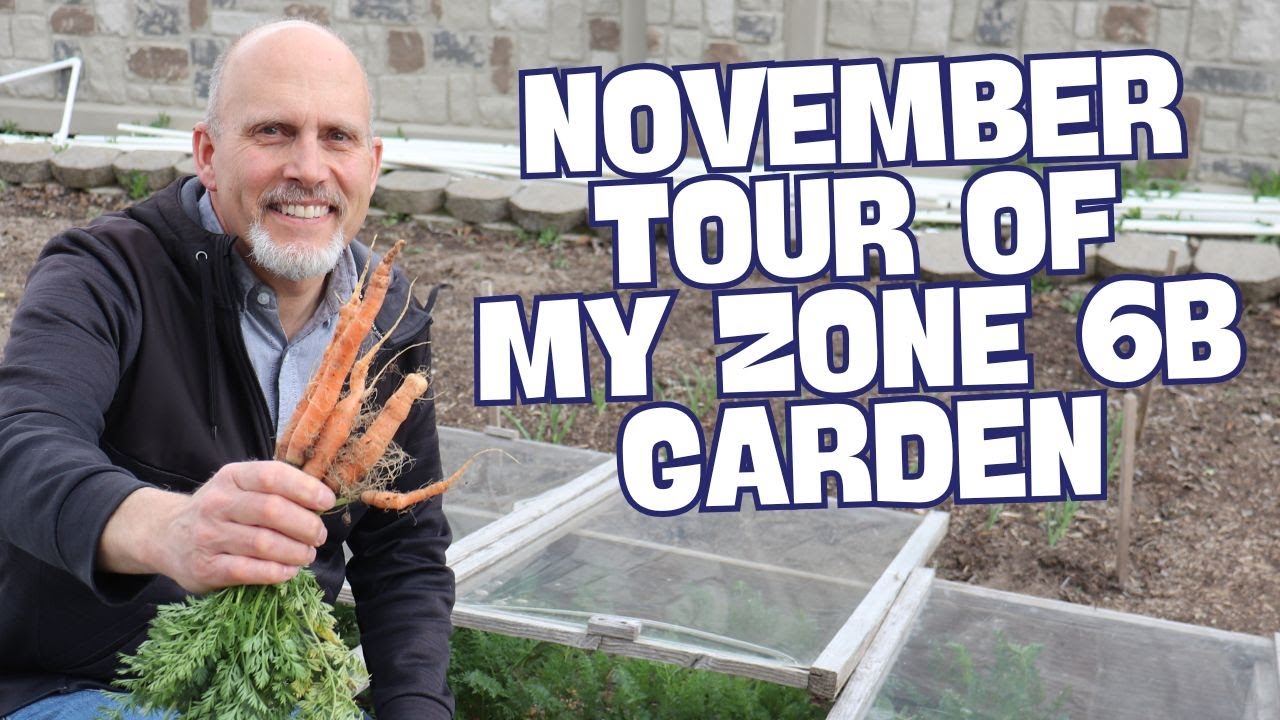 What is growing in my Fall Garden? - Full November Tour Zone 6b Garden ...