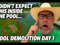 Draining Years of Green Pool Water — It Was Worse Than I Thought!