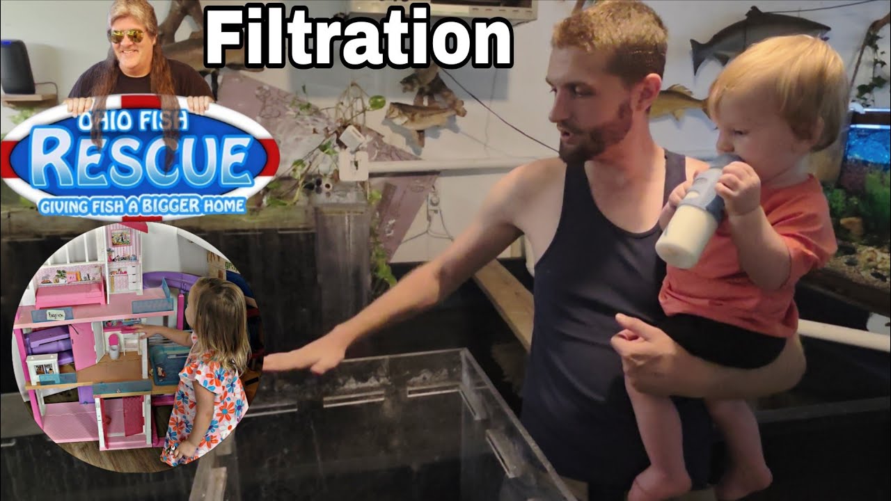 Aquarium Filtration System Design and Implementation