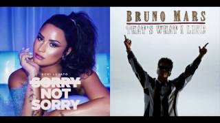Sorry Not What I Like - Demi Lovato & Bruno Mars Mashup