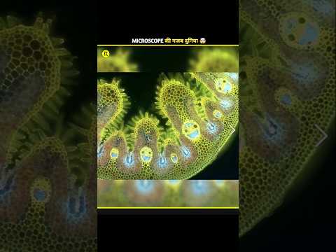 MICROSCOPE की गजब दुनिया 🤯|| #shorts