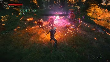 Witcher 3 EE+Lazarus Bandit fight