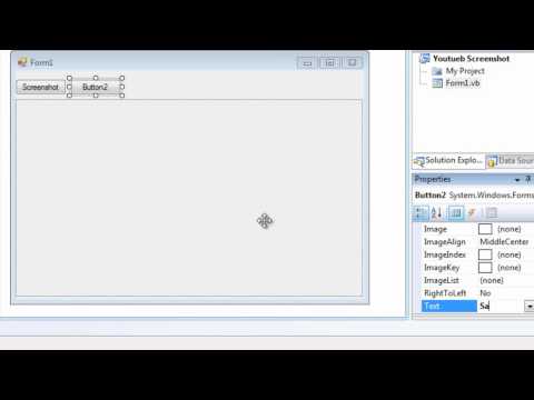 Make a Screenshot Program in VB 08/10