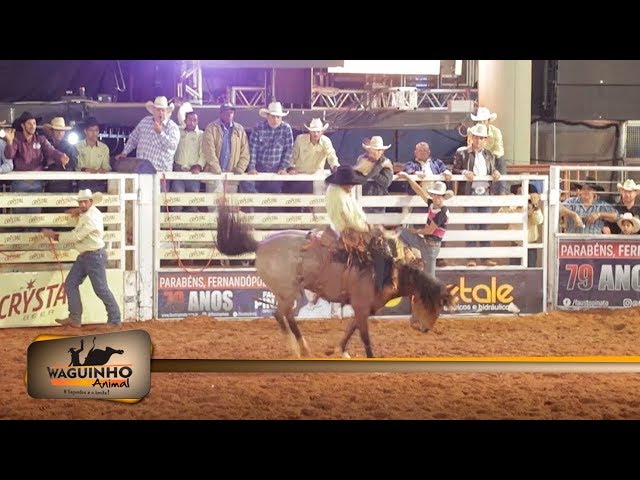 moça fui em um rodeio e tinha uma menina que quando dava 8 segundos que o  piao tava montado no touro ou cavalo ela ia la e tirava o piao e  dezariava