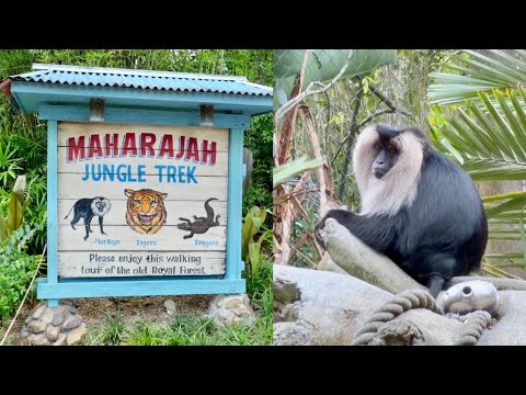 Maharajah Jungle Trek at Disney's Animal Kingdom 2026 Walkthrough in 4K | Walt Disney World Florida