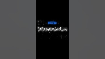 #قرآن #ياسر_الدوسري وَعَسَىٰ أَن تَكْرَهُوا شَيْئًا وَهُوَ خَيْرٌ لَّكُمْ🍃القارئ ياسر الدوسري🍃#قرآن
