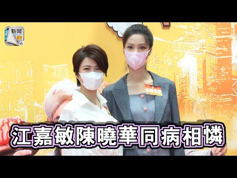 江嘉敏陳曉華同病相憐　組成腳傷二人組