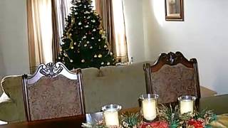 1019 Streamside Dr video tour