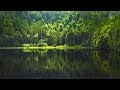 Beautiful Sleep Music: Calming Piano, Fall Asleep Fast, Stress Relief, Peaceful Music