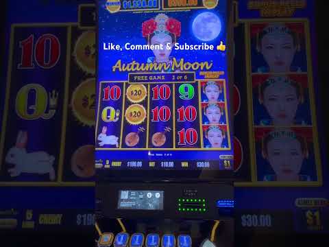 OMG 馃獎馃獎A MAGICAL PANDA BONUS ON A 12.50 BET #slot #casino #slotmachine #slots #gamble