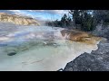 Mammoth hot springs part 2 | Yellowstone employee life