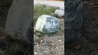 The quarry rocks #quarry #rocks #rockinroll #large #boulders #peg #quartz #maddogmountainarts #xybza
