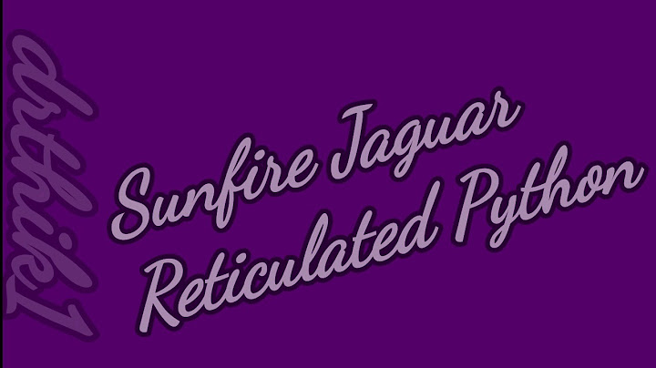 Sunfire Jaguar Reticulated Python and Handling