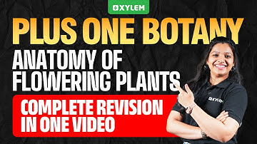 Plus One Botany | Anatomy of Flowering Plants : Complete Revision in One Video | Xylem Plus One