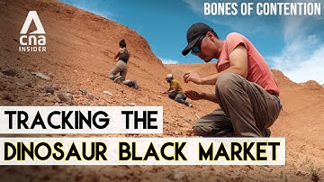 Tracking The Dinosaur Fossil Black Market: From Desert To Dealer | Bones Of Contention - Part 2/2