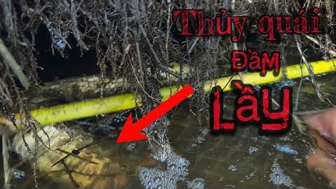 Thuỷ Quái Đầm Lầy Bị Hạ Gục Trong Lờ Cá Lóc [the very big snake was taken down]