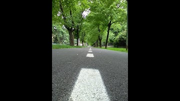 مع القارئ الشيخ أبو العنين شعيشع وما تيسر من سورة البقرة