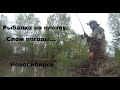 Рыбалка в Новосибирске на фидер.Монтаж инлайн. Рыбалка на Оби 2020. Siberian fishing