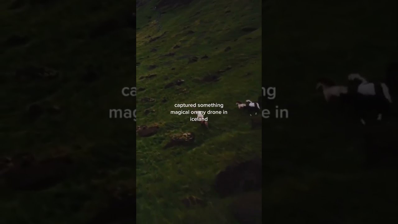 Can’t believe the drone caught this! 🤯  