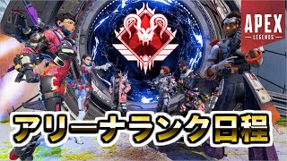 アリーナランクモードの日程が確定！！！【エーペックスレジェンズ】