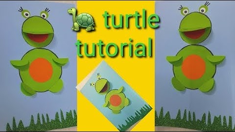 TURTLE TUTORIAL - How to make a turtle-school project-circle work- new ideas