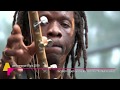 Harouna Samake Balazan LIVE At Afrikafestival Hertme 2019 Harouna Samake Balazan LIVE At Afrikafestival Hertme 2019