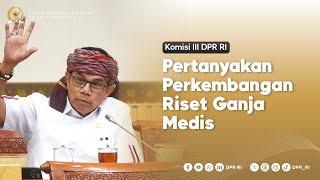 KOMISI III PERTANYAKAN PERKEMBANGAN RISET GANJA MEDIS