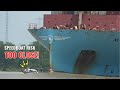 Caught on Camera: When a Speedboat Raced Ahead of a Giant Maersk Ship On River!