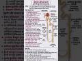 प्रयोगशाला परिचारक/नेफ्रॉन की संरचना | Kidney की सूक्ष्म इकाई #biology