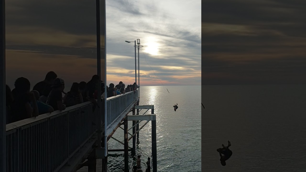 Darwin Nightcliff jetty locals they  seriously high on life and living the dream😍🌅🏝🐬